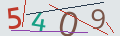 verifycode